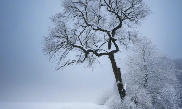 Vlčtejn – winter
