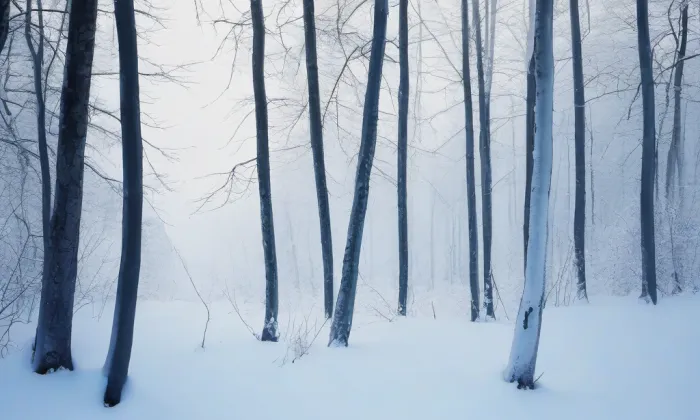 Vojáčkovy sady – winter