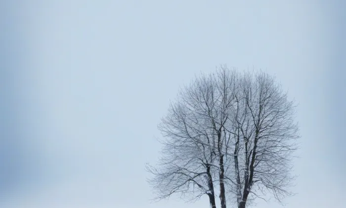 Volšovy – winter
