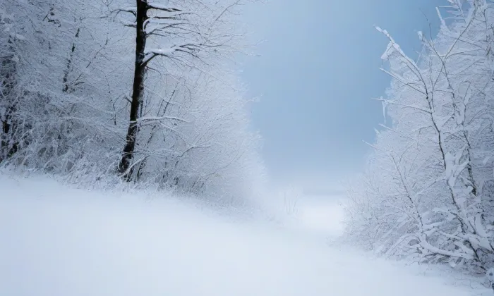Vysoká škola Karla Engliše – winter