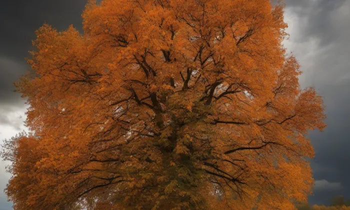 Wiedermannův park – autumn
