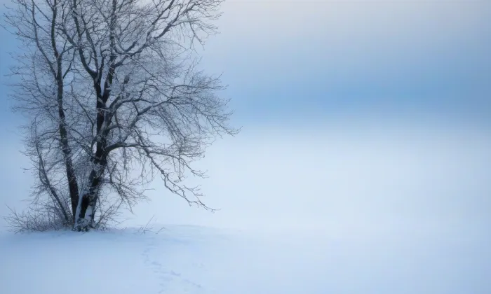 Zámek Česká Kamenice – winter