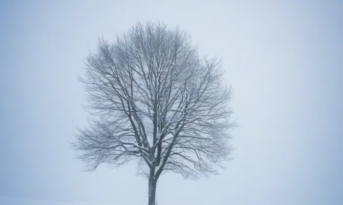 Zámek Šumperk – winter
