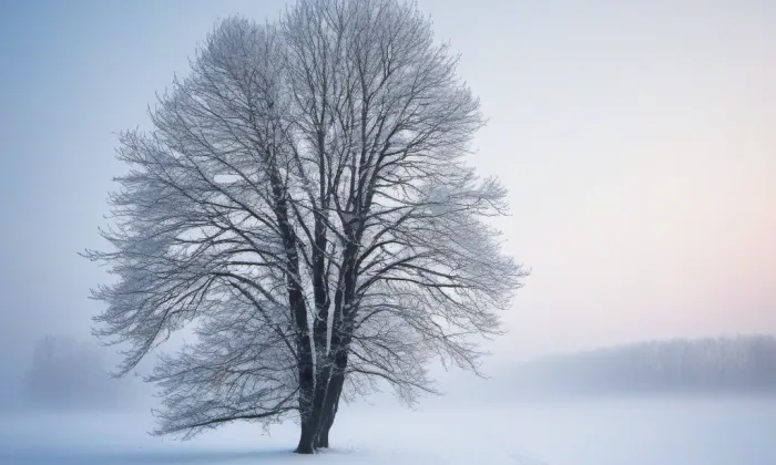 Zámek Chrast – winter