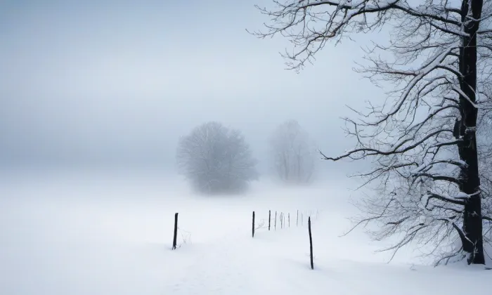 zámek Hraběšín – winter