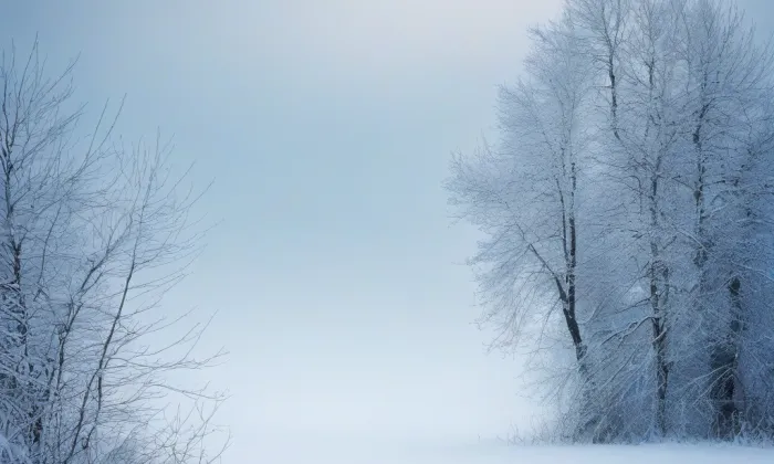 zámek Kamenice – winter