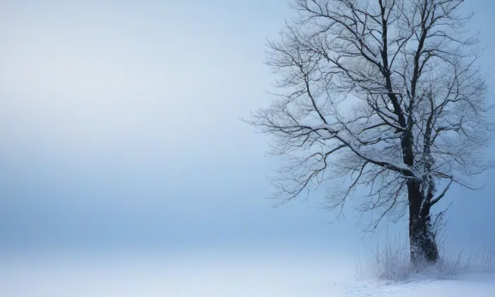 zámek Libědice – winter