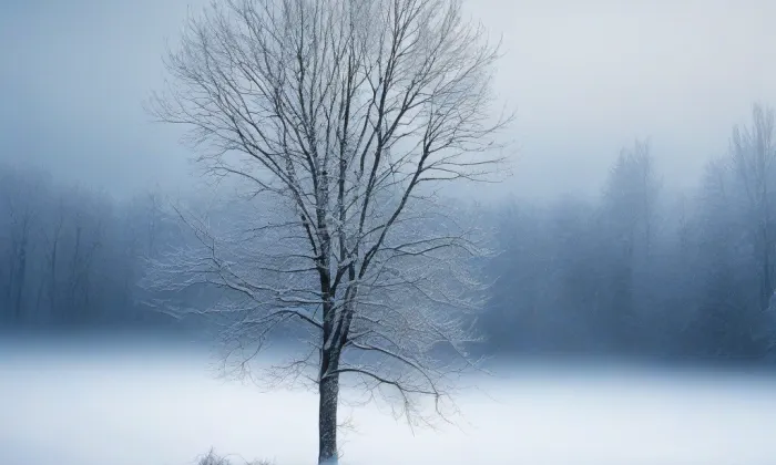 zámek Plandry – winter