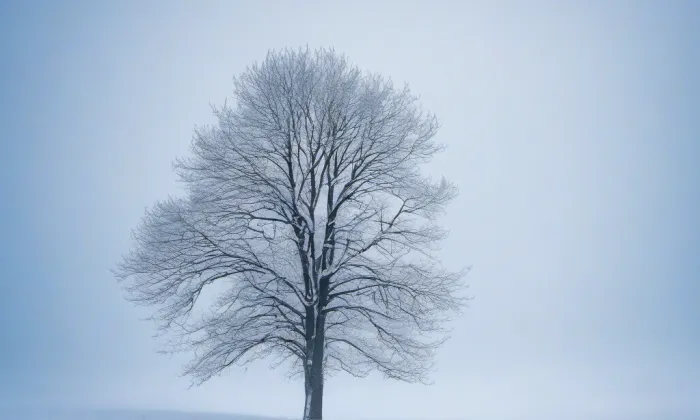 Zámek Radim – winter