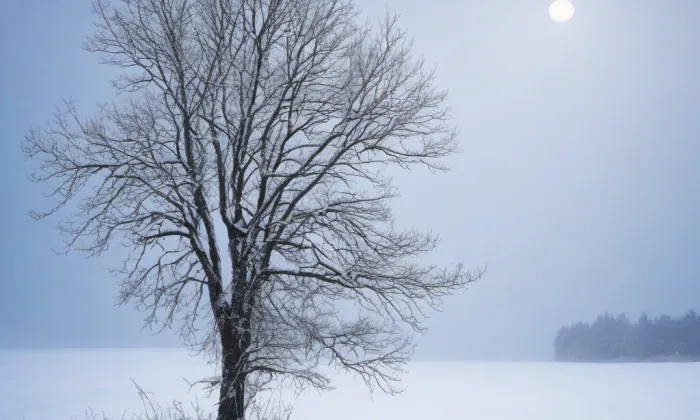 Zámek Stará Vráž – winter