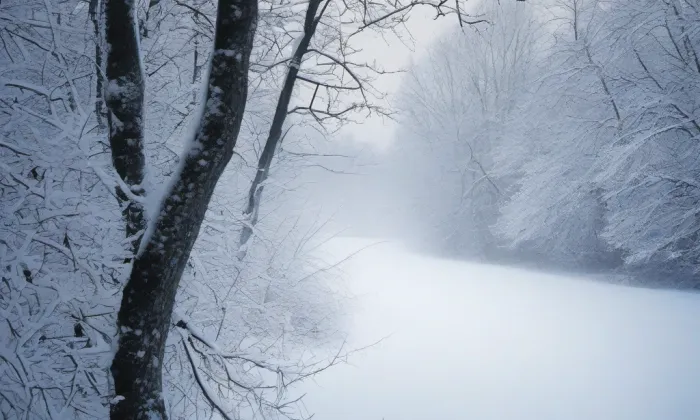 zámek Stráž nad Nežárkou – winter