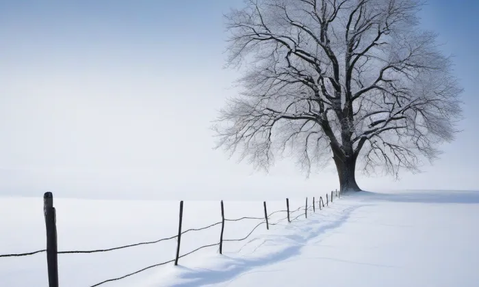 Zámek Studenec – winter