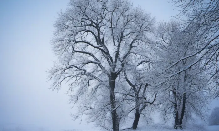 Zbraslav – winter