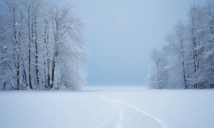 Zemědělský dvůr čp. 1 – winter