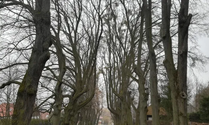 Roztěž