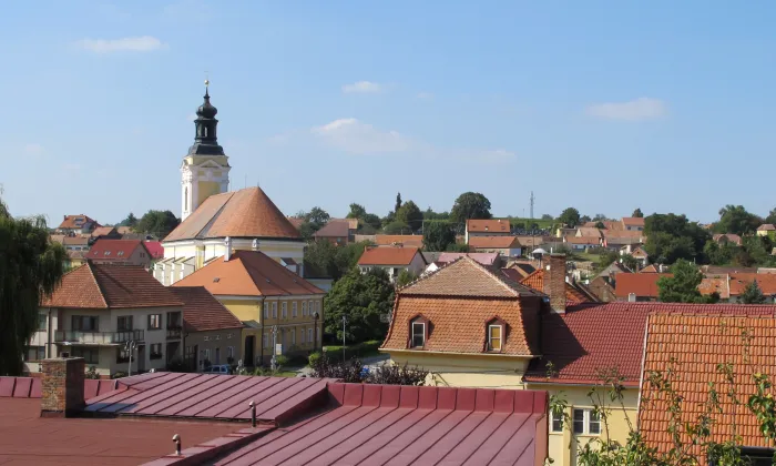 Tvrz a zámek Čejkovice