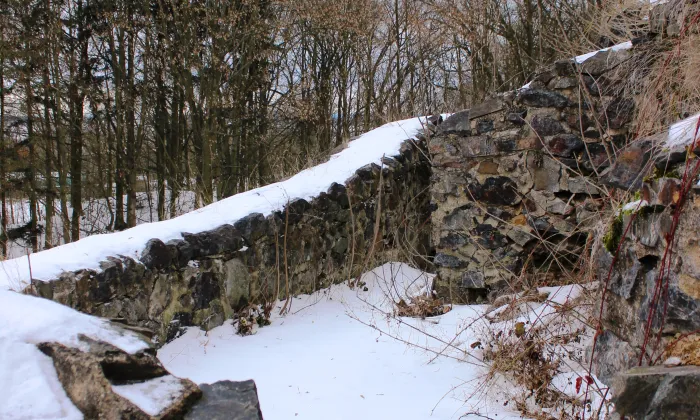 Vlčtejn