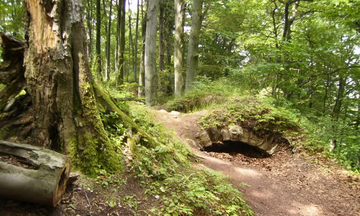 Žampach