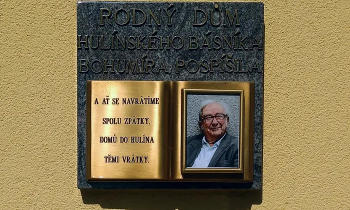 Žabínek