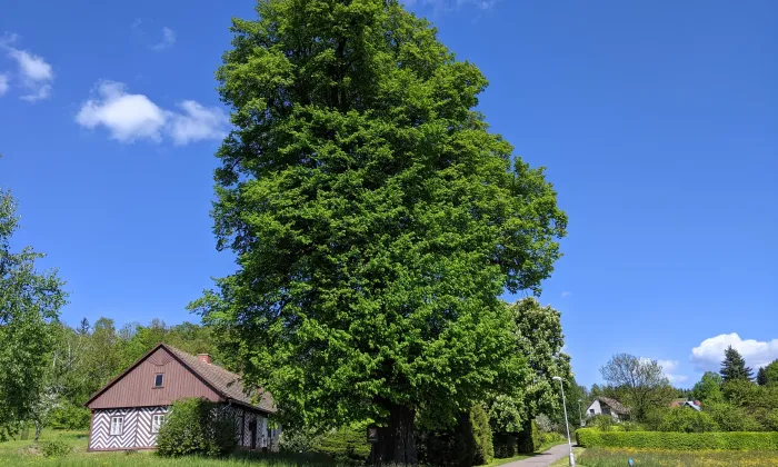 Kostel svatého Bartoloměje (Bystré)
