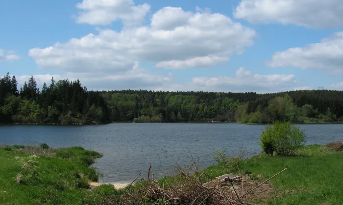 Kostel svatého Víta (Horní Paseka)