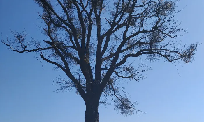 kostel Všech svatých (Staré Hvězdlice)