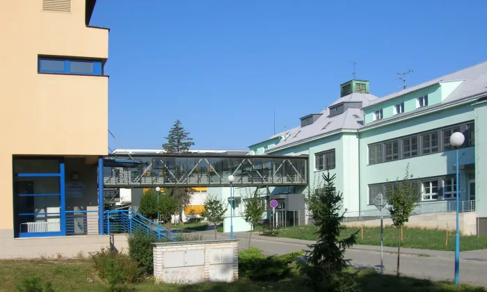 Janáčkovo stromořadí