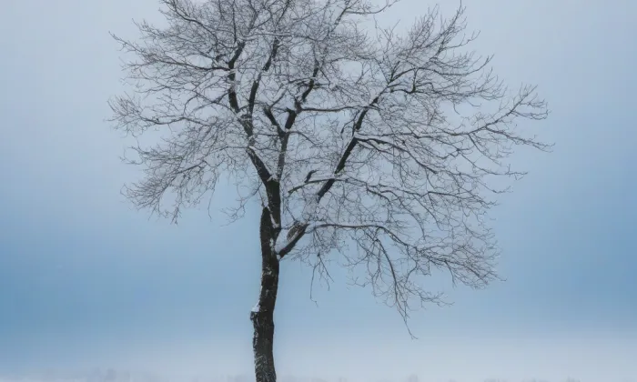 Červený Dvůr (Červený Dvůr) – winter
