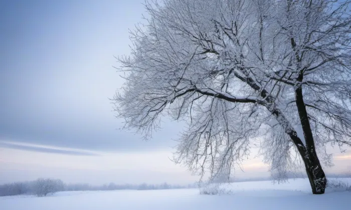 Anderlův mlýn – winter