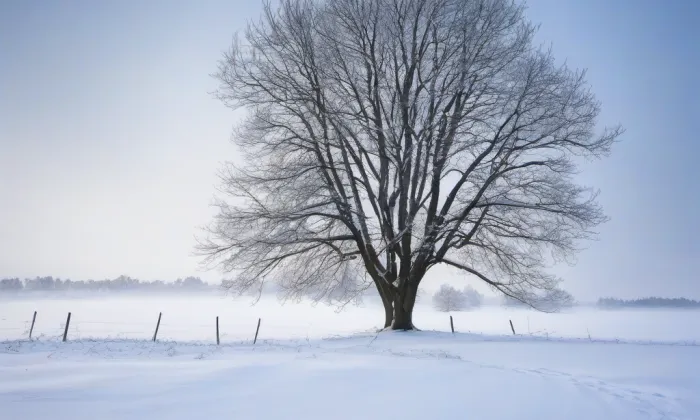 Areál Lannovy loděnice – winter