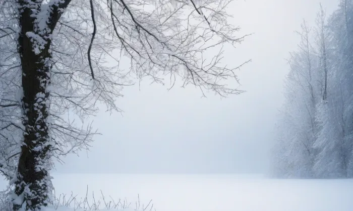 Choceň – winter