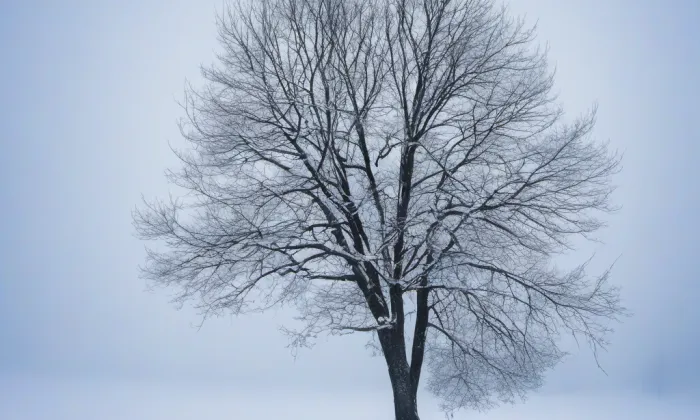 chrám Povýšení svatého Kříže v Teplicích – winter