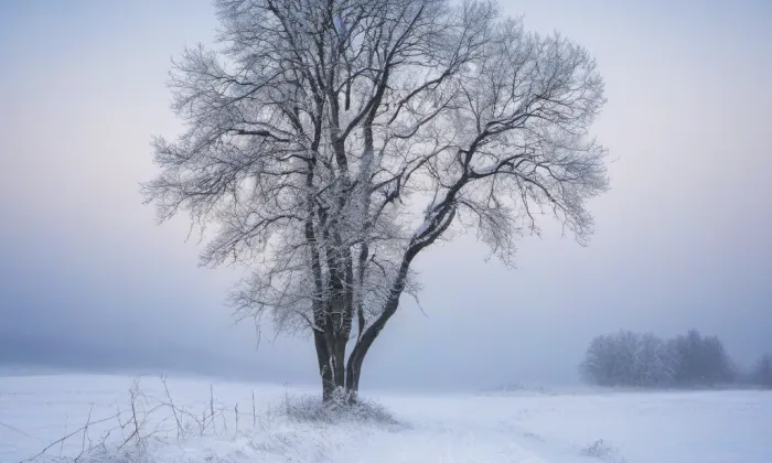 Drhovle – winter