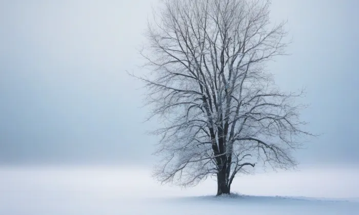 Františkánský klášter ve Slaném – winter