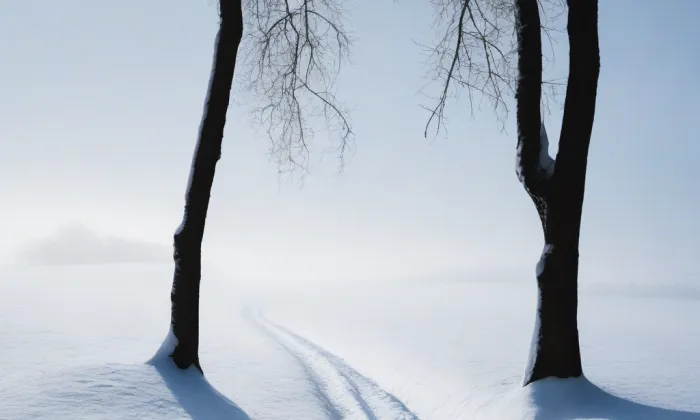 Klášter Brtnice – winter