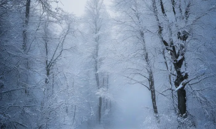 Klášter Milosrdných sester – winter