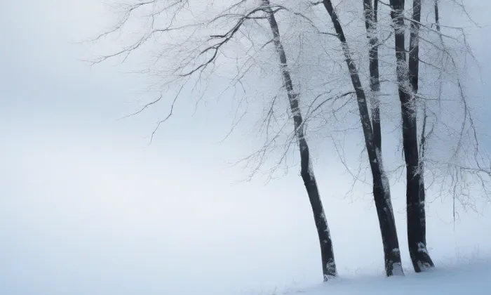 Kostel svaté Anny (Most) – winter