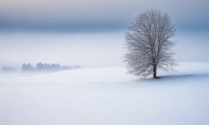 Kostel svaté Máří Magdalény (Horní Město) – winter