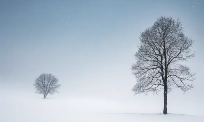 kostel svatého Jakuba Staršího v Kutné Hoře – winter