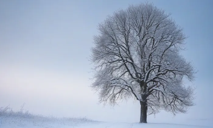 Kostel Všech svatých (Vyšehorky) – winter