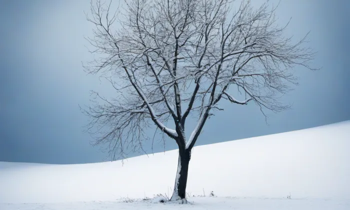 Nový kostel Církve bratrské – winter