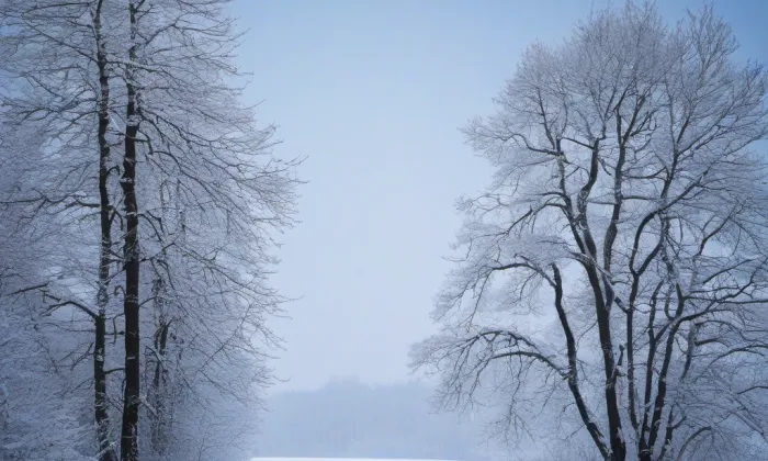 Okresní dům v Kladně – winter