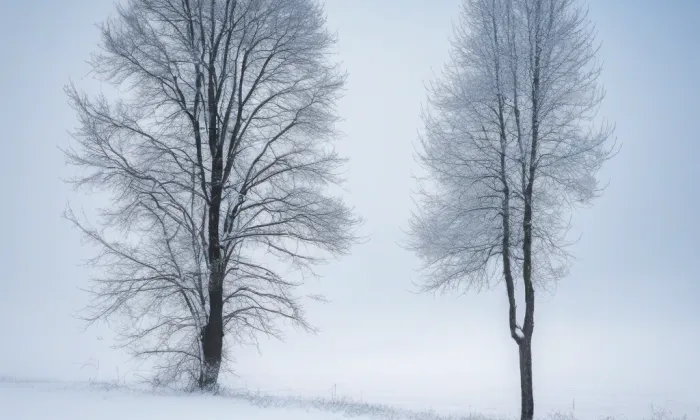 Sbor Božích bojovníků Církve československé husitské – winter