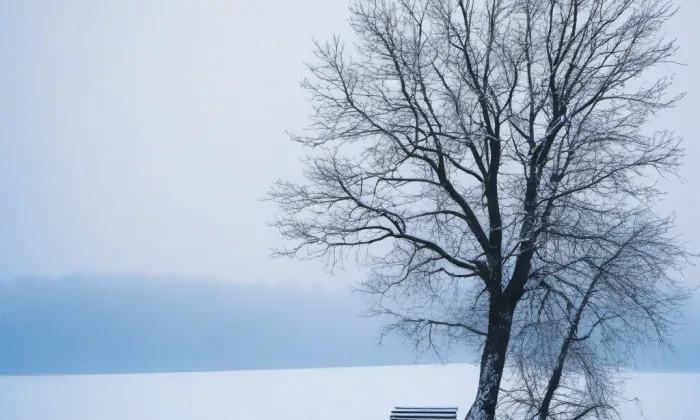 Společenský dům ve Františkových Lázních – winter