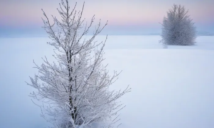 zámek Cebiv – winter
