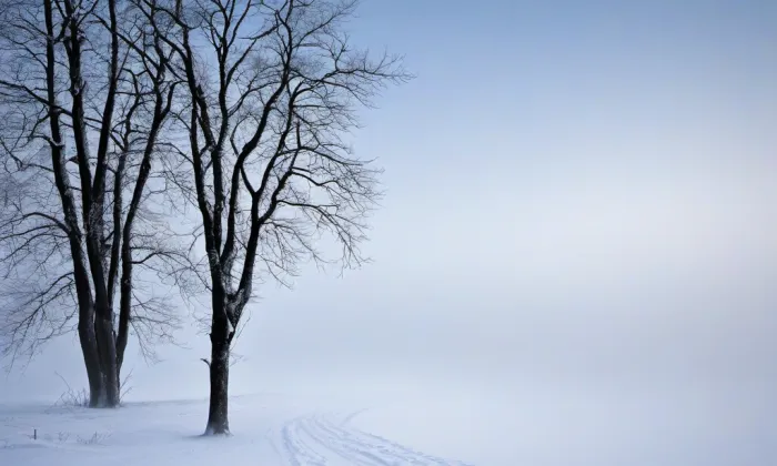 Zámek Lobeč – winter