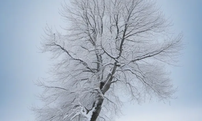 Zámek Loučka – winter