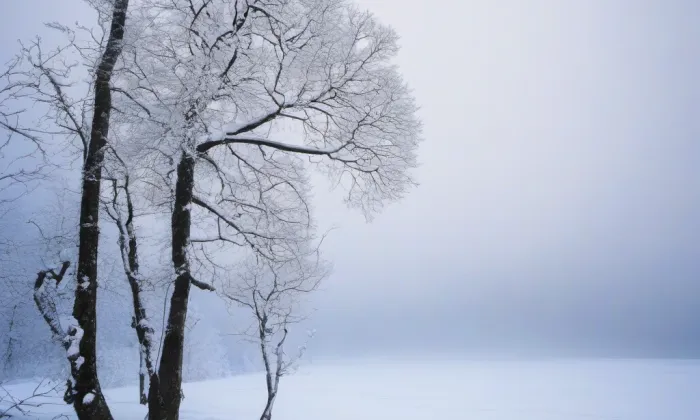 Zámek Poříčí – winter
