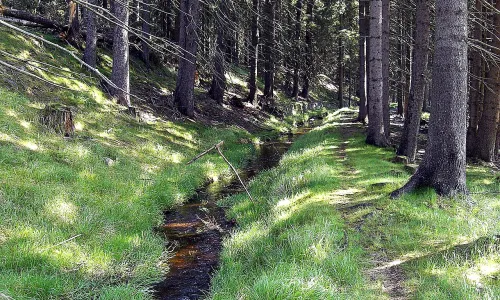 Dlouhá stoka