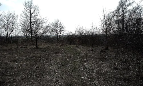 Dänemark